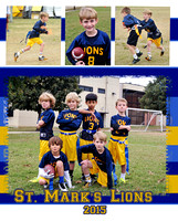 St Marks Lions Photo Boards
