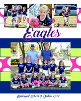 ESD Mathes K Soccer Boards